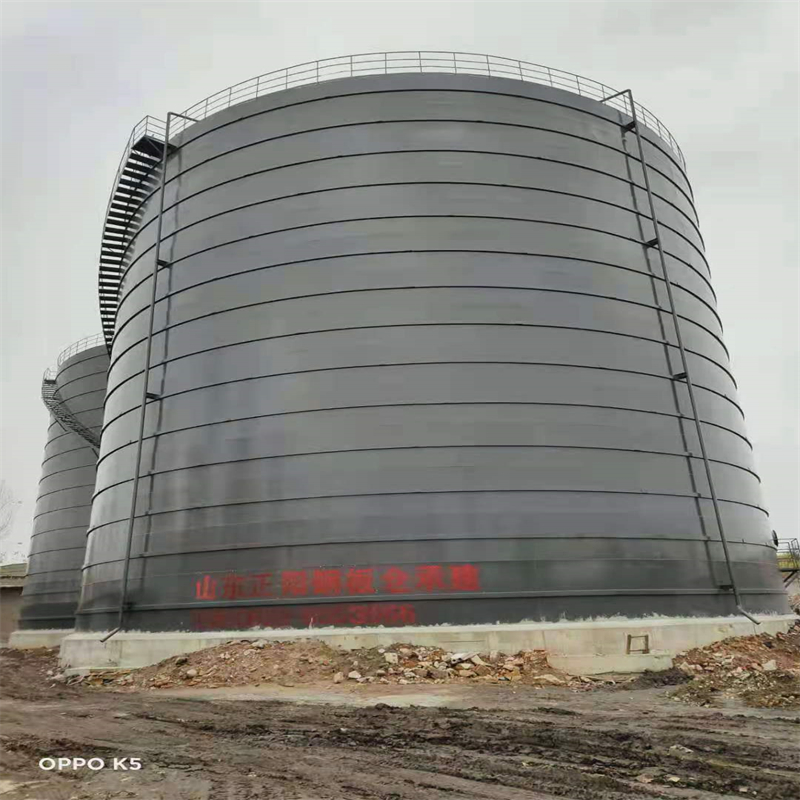 游仙3万吨大型钢板库