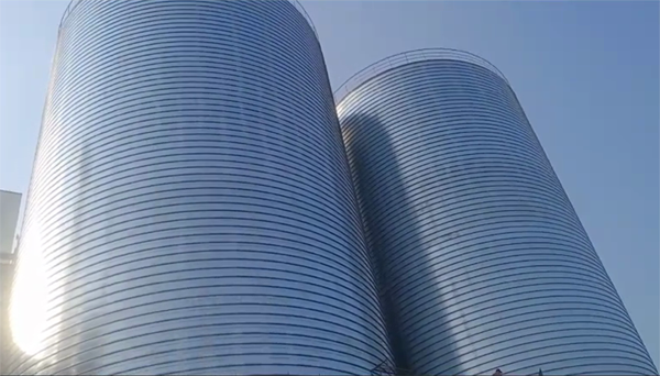 游仙2座混凝土高架卷板仓